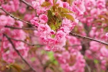 温州洞头区1线下个人借款平台一站式服务，轻松解决资金难题
