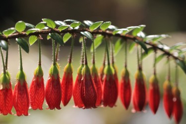 温州洞头区1零用贷短借：轻松解决临时资金需求