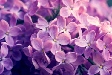 温州洞头区1企业急用钱贷款攻略：快速融资解燃眉之急